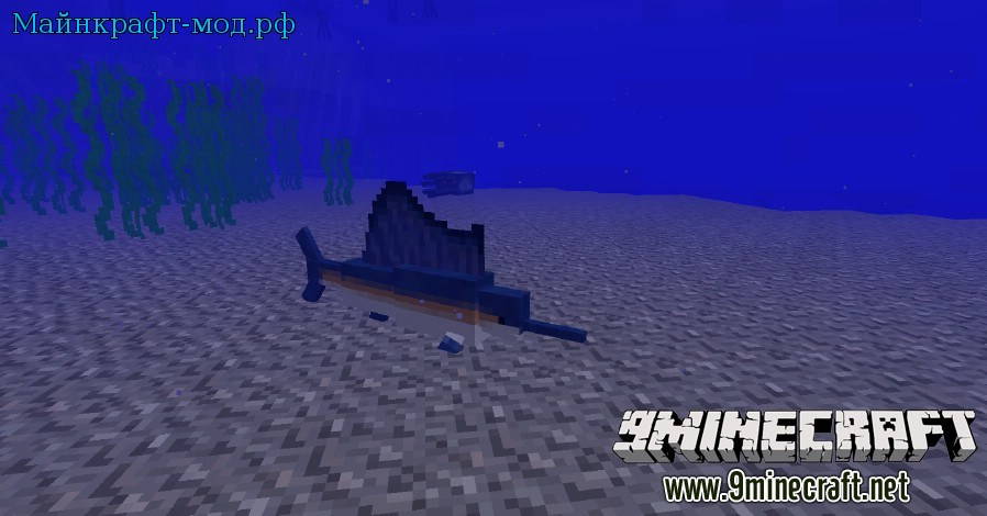 риф с рыбами майнкрафт